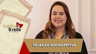 Explica Direito Filiação Socioafetiva  2019 [upl. by Halilad41]