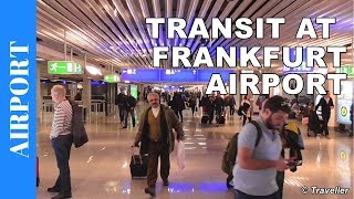 TRANSIT WALK AT FRANKFURT Airport FRA Terminal 1  Connection Flight Transfer Arriving amp Departing [upl. by Eceirehs]